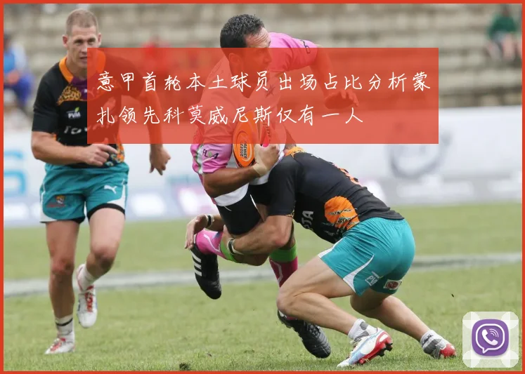 意甲首轮本土球员出场占比分析蒙扎领先科莫威尼斯仅有一人