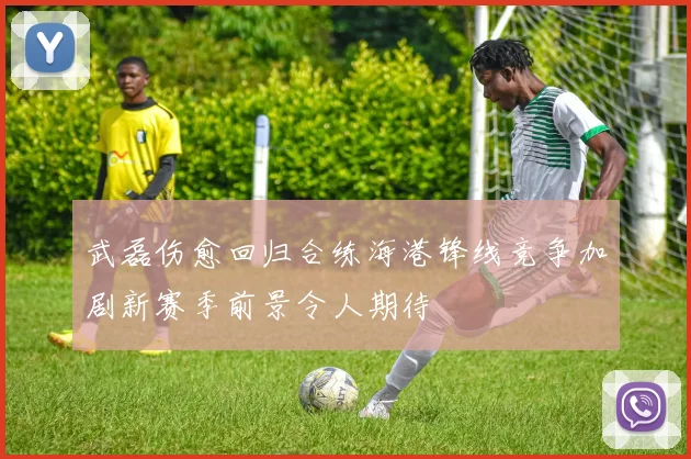 武磊伤愈回归合练海港锋线竞争加剧新赛季前景令人期待