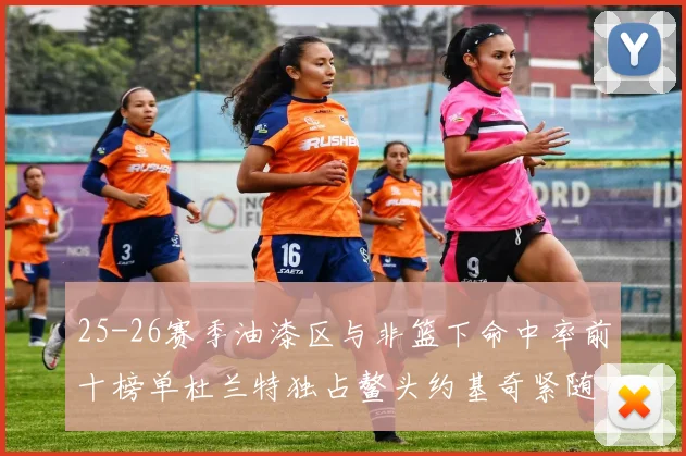 25-26赛季油漆区与非篮下命中率前十榜单杜兰特独占鳌头约基奇紧随其后